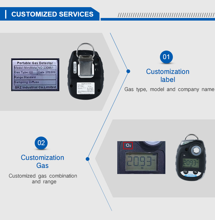 Maintenance Free Single H2S Gas Detector