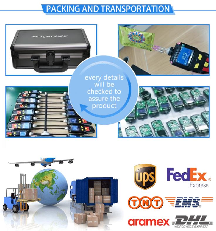 Przenośny detektor gazu tlenku węgla SKZ2050-4 Przenośny detektor gazu tlenku węgla SKZ2050-4